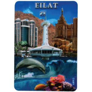 מגנט פלסטיק מלבן בולט - אילת דולפין 10x7 ס"מ