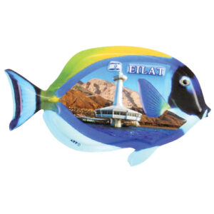 מגנט פלסטיק בולט - דג אילת 12x7 ס"מ