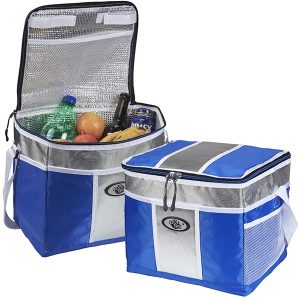 "סילבר" צידנית 24 ליטר רצועת נשיאה