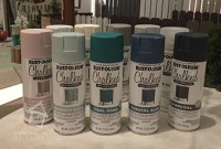 שאבי שיק ספריי בגוון